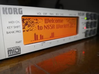 Korg NS5R