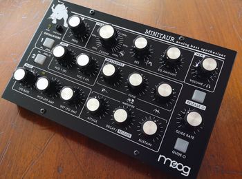 Moog Minitaur