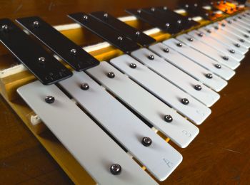 Unbranded Glockenspiel-30F