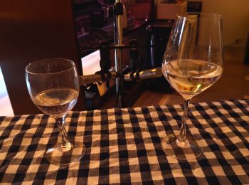 Two mic'd up wine glasses