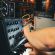 A Korg MS-20 synthesizer being played with a Gamechanger Audio PLASMA Pedal on top