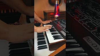 A Sequential Circuits Pro-One synthesizer being played