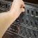 A Sequential Circuits Pro-One synthesizer being played